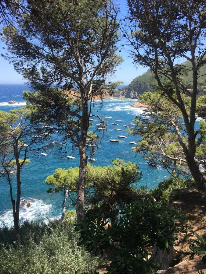 Cap Sa Sal Navy, Begur, Girona Apartment Bagian luar foto