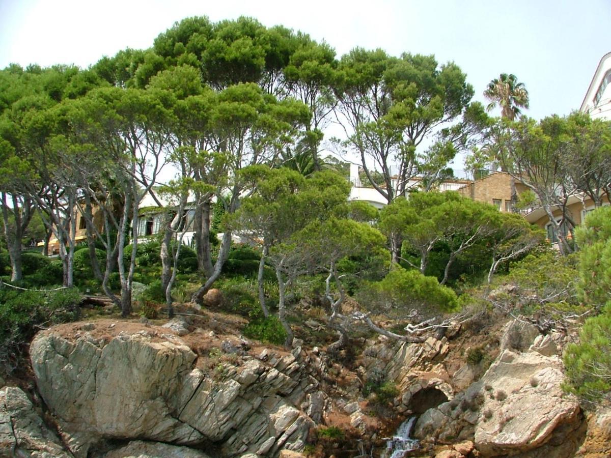 Cap Sa Sal Navy, Begur, Girona Apartment Bagian luar foto